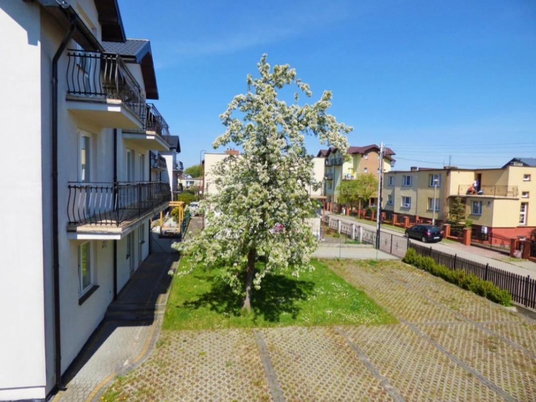 Siesta Wladyslawowo Hotel Kültér fotó